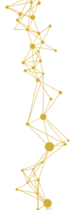 Connections-Gold-500x500-t